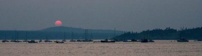 St Andrews harbour