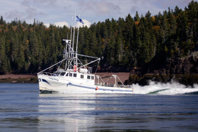 October Whales with the Quoddy Link