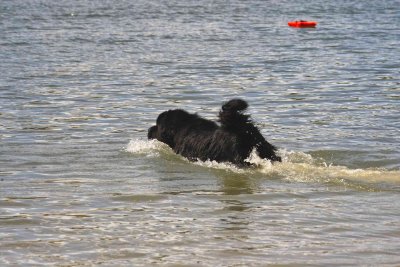 IMG15901.jpg