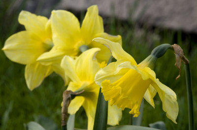 g1/36/471536/3/111228067.4YtIj6Z7.jpg