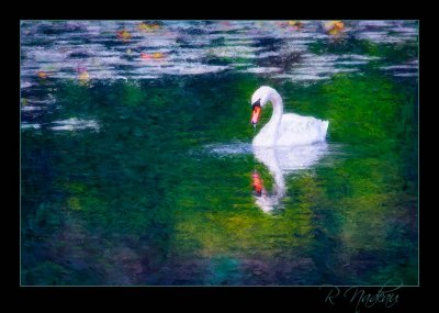 Monet's-swan