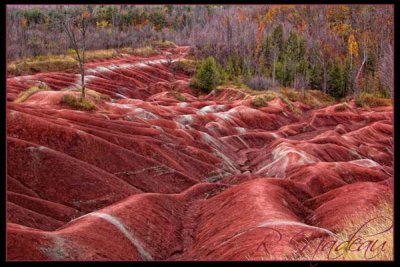 Caledon Badlands #1