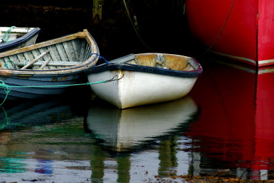 Harbour Mist