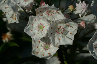 g1/36/495936/3/106889777.KfojOxK8.jpg