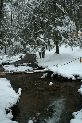 New Snow on the Brook