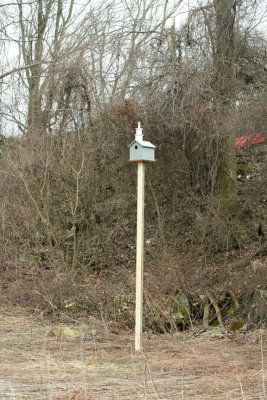 Kestrel Box #1