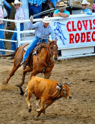 D3B_5612ClovisRodeo1.jpg