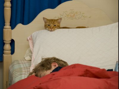Kilroy Cat.jpg