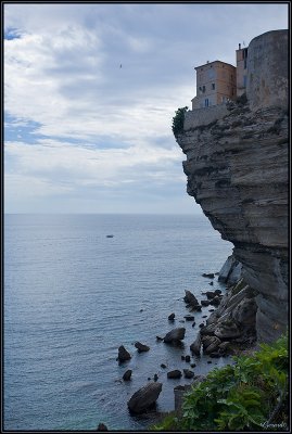 Bonifacio