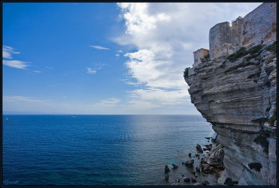 Bonifacio