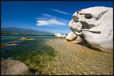 Figari