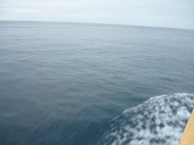 g1/36/560536/3/103254911.Ytq00o9l.jpg