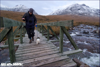 crossing the bridge... carefully...