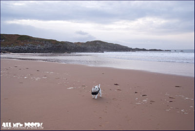 enjoying the beach