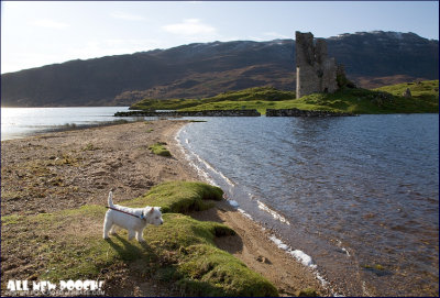 exploring Assynt