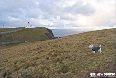 Stoer lighthouse