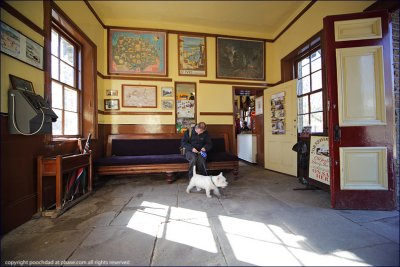 Gallery 3: Pooch's Day Out on the Train