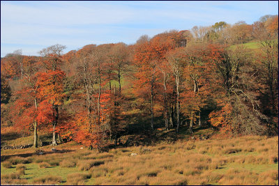 Crockern Valley, Dartmoor