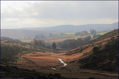 Crockern Valley, Dartmoor