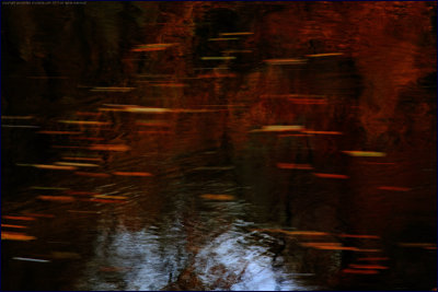 autumn reflections in moving water, River Avon