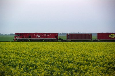 Ghan and Canola