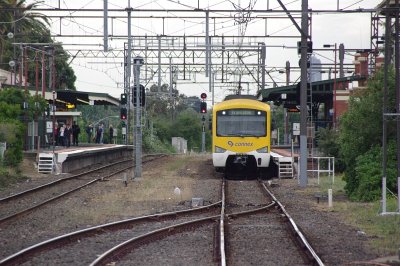 Caulfield