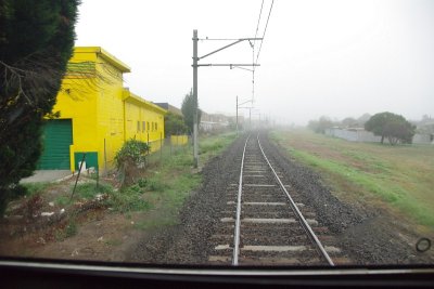 Yellow and Green and Fog