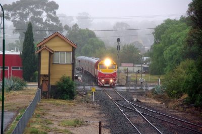 Wet and Misty Bone