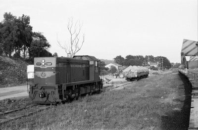 Fish Creek Shunt