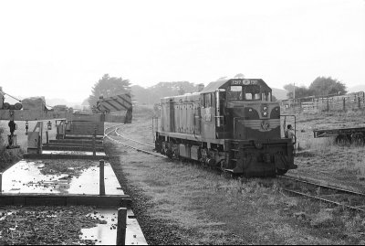 Fish Creek Shunt