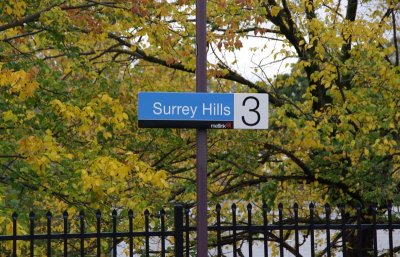 Colourful Surrey Hills