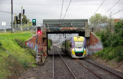 Wet Dandenong