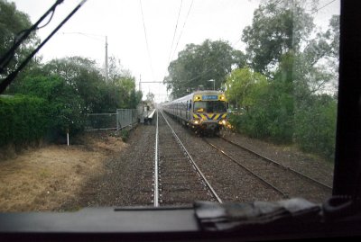 Wet Noble Park