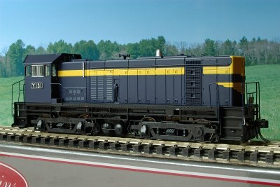 Austrains Y131