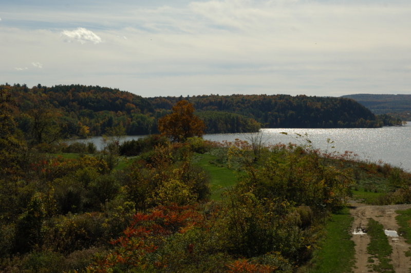 DR3_5157.JPG