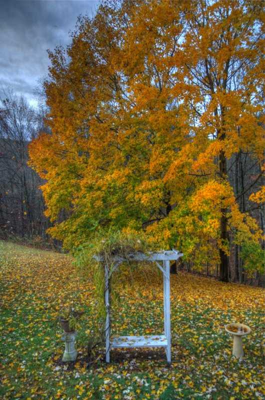 fallhdr001.jpg