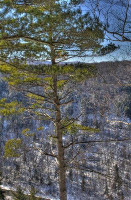 hdr78.jpg