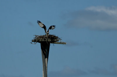DSC_3825_DxO_RAW.jpg