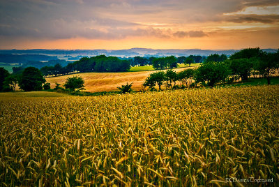 golden hour in southern skaane, sweden