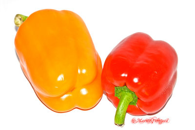 sweet bell pepper, capsicum annuum