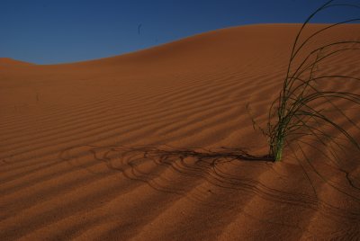 Morocco 2009