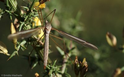 DSCF4951.jpg