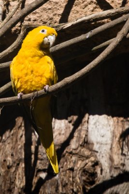 Bonito Iguau-423.jpg