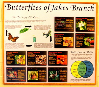 Jakes Branch Park0042.JPG