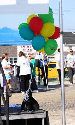 IMG_6071 JDRF 2009 .JPG