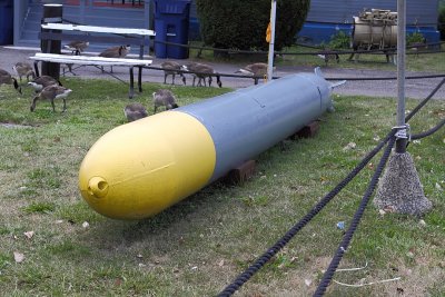 IMG_7970_USS LING .JPG