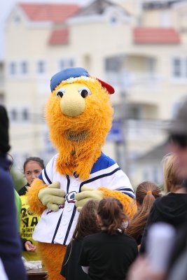 JDRF WALK34.JPG