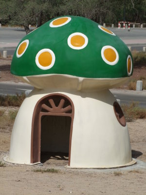 Green Toadstool House Mushrif Park Dubai.jpg