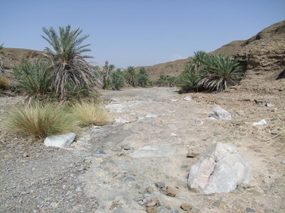 In the Wadis Hatta 3.jpg