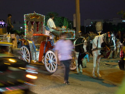 Horse and Carriage Mumbai.jpg
